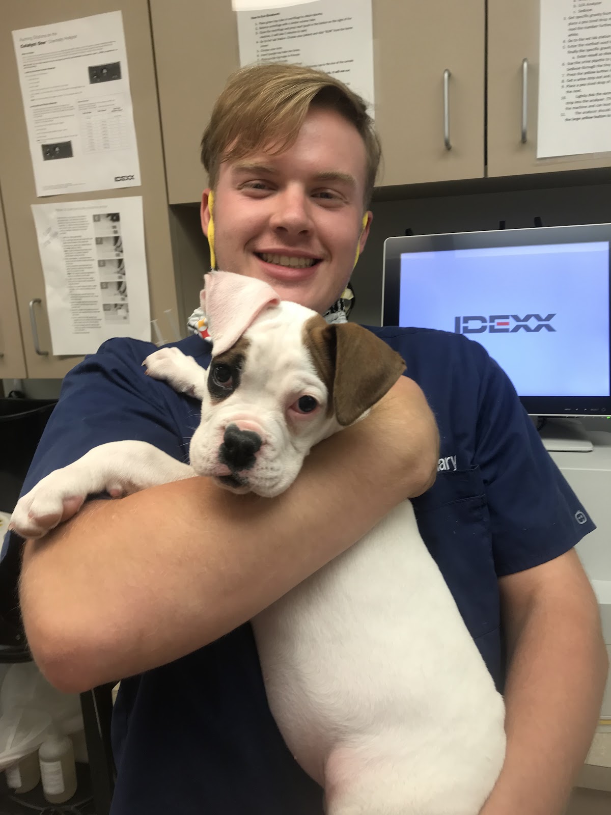 This image shows Zach McCoy caring for a dog at a veterinarian clinic.