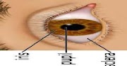 IRIS SCANNING