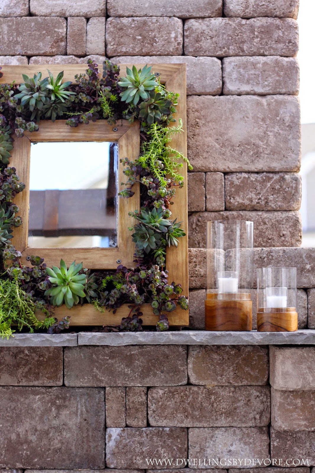 DIY Succulent Mirror
