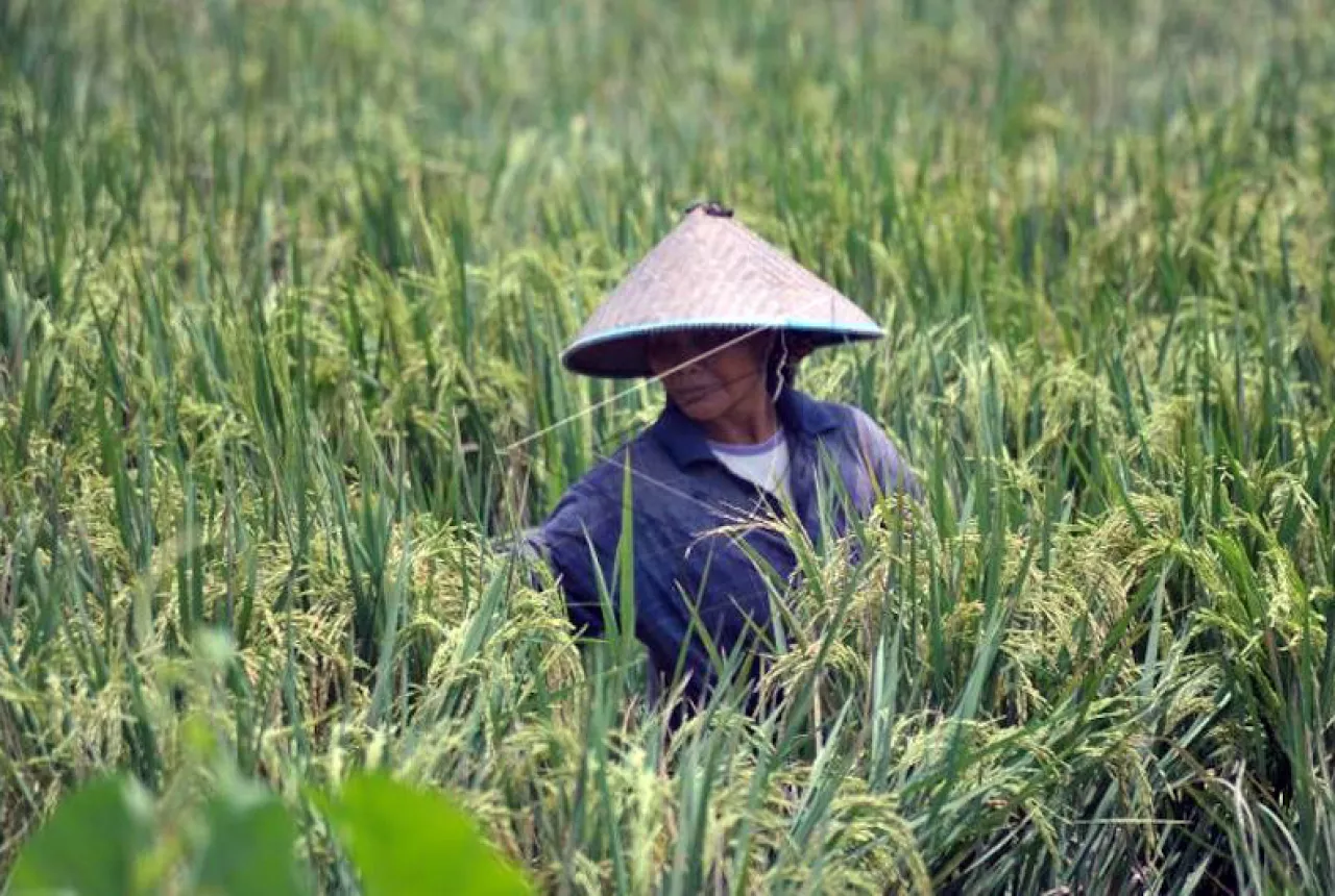 Sumatera Selatan (Photo: GenPI.co)