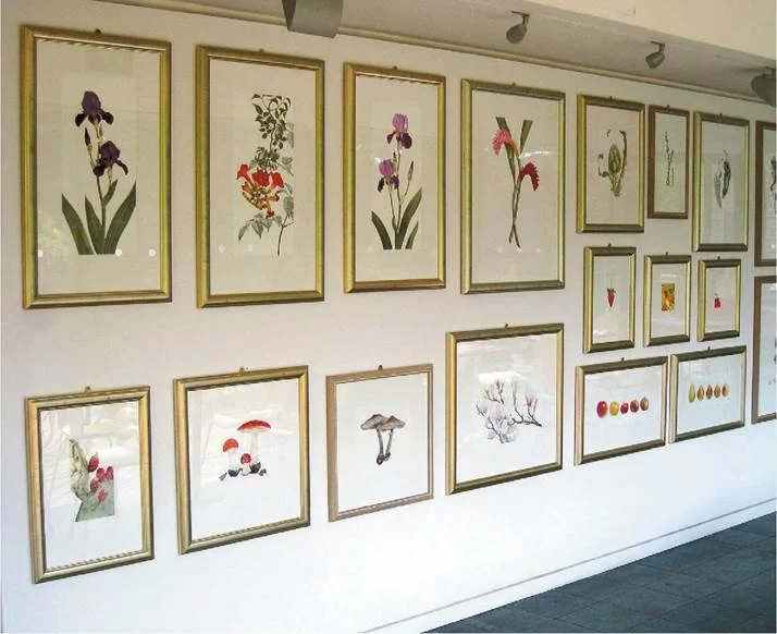 D:\0 wd yedek\acr yedek\1 film indirme\botanicheskaya_illyustraciya2_files\image210.jpg
