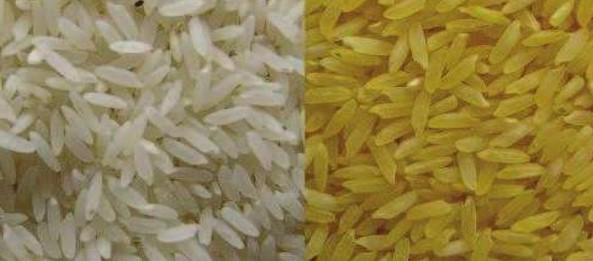 beras golden