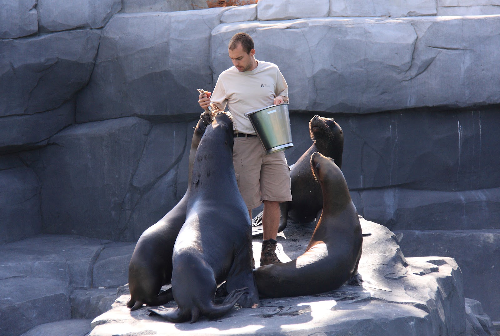 What Are The Zookeepers’ Duties & Responsibilities?