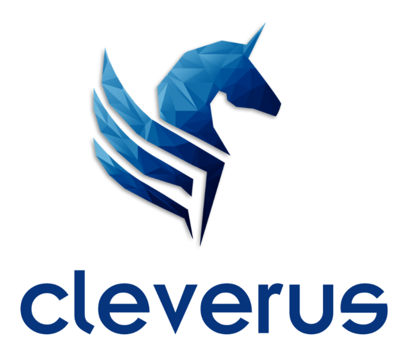 Cleverus Digital Marketing | Best Digital Marketing Agency Malaysia | One Search Pro Marketing
