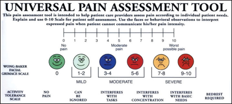 universal pain assessment tool