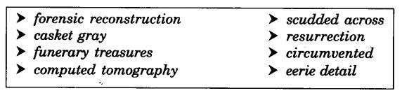 NCERT Solutions For Class 11 English Hornbill Discovering Tut The Saga Continues Q3
