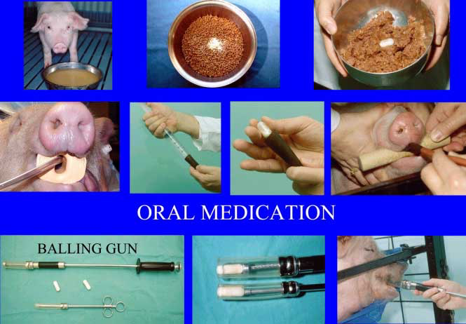 Methods of administering oral medications.