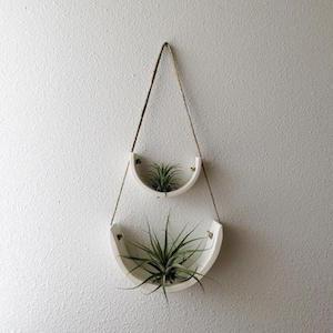 Two-tiered hanging plant holder displaying two air plants on a wall photo