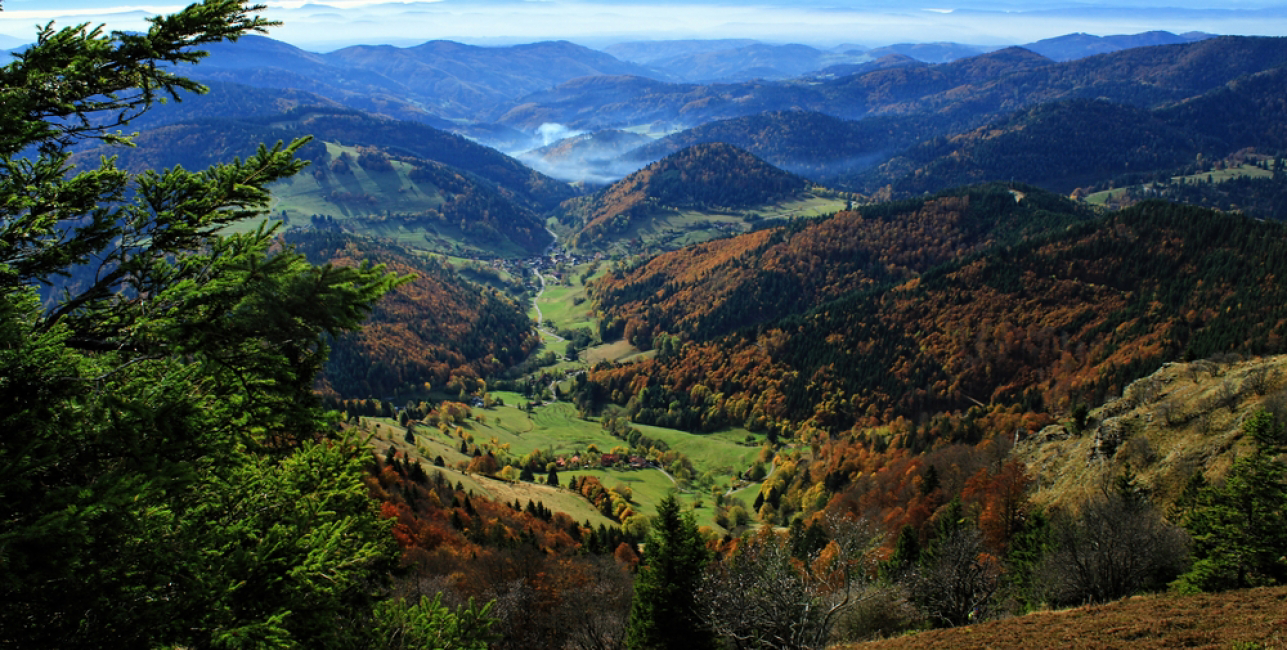 Highlights of the Black Forest - Strasbourg, Freiburg and Basel |  Railbookers
