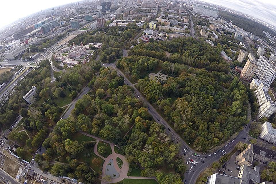 Петровский парк сайт парка. Петровский парк Москва. Петровский сквер Москва. Парк Петровский парк Динамо. Район Петровский парк Москва.