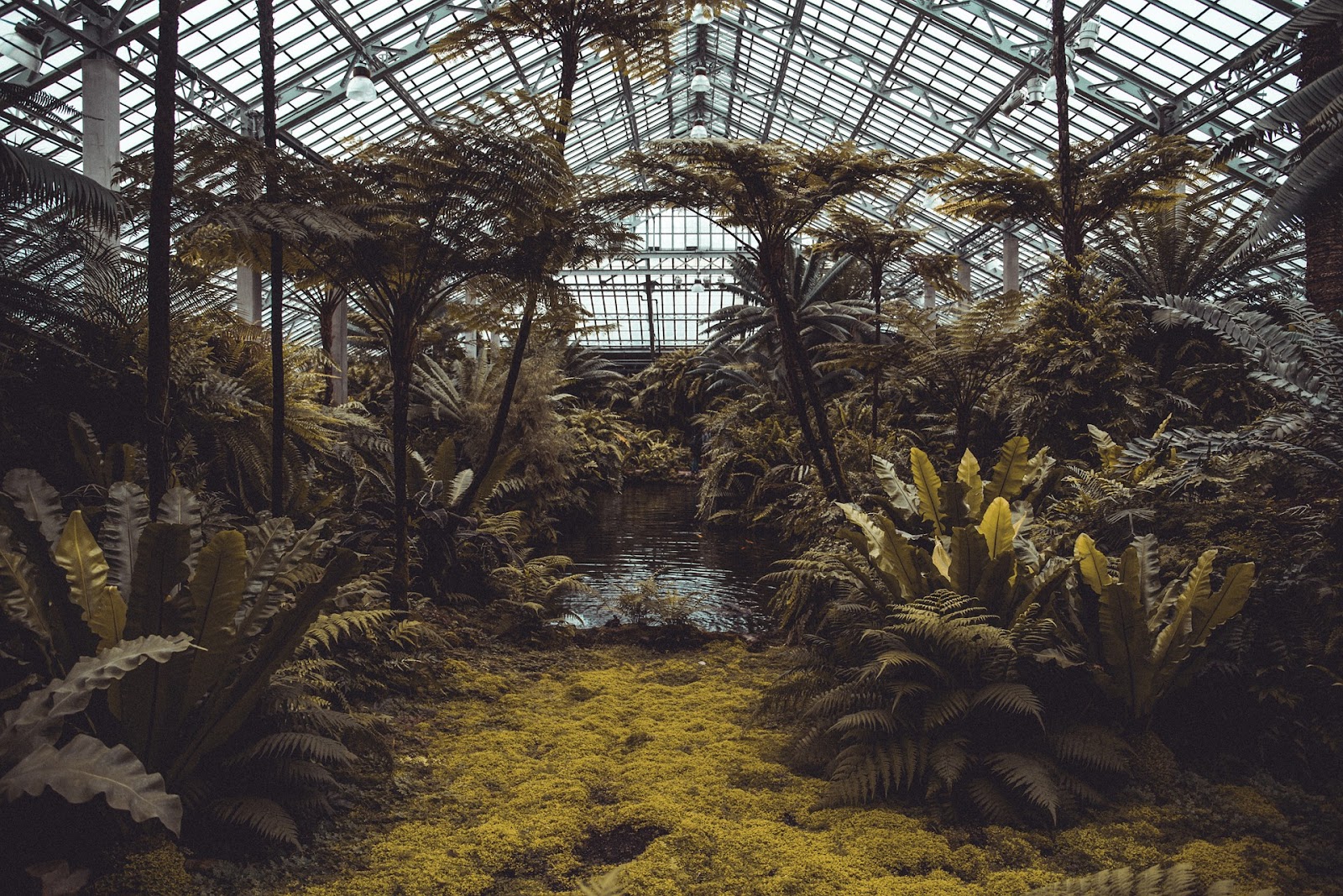 Kraków atrakcje - Ogród Botaniczny
