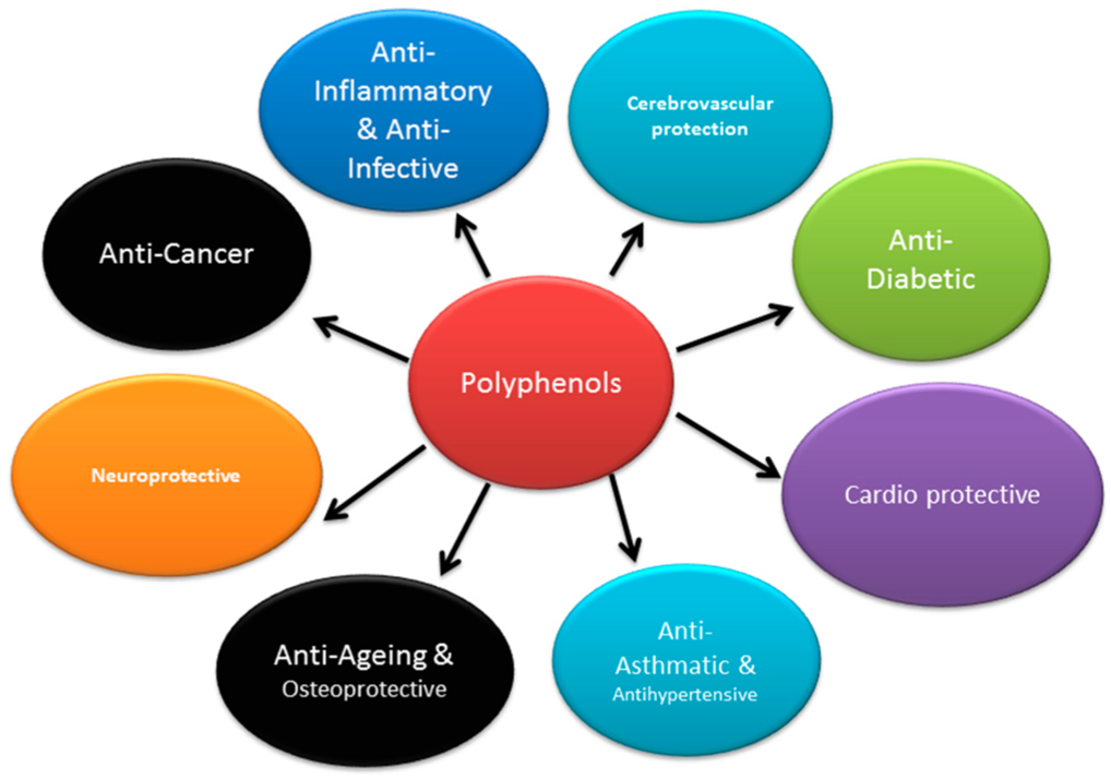 effects of polyphenols | sirtuin activators