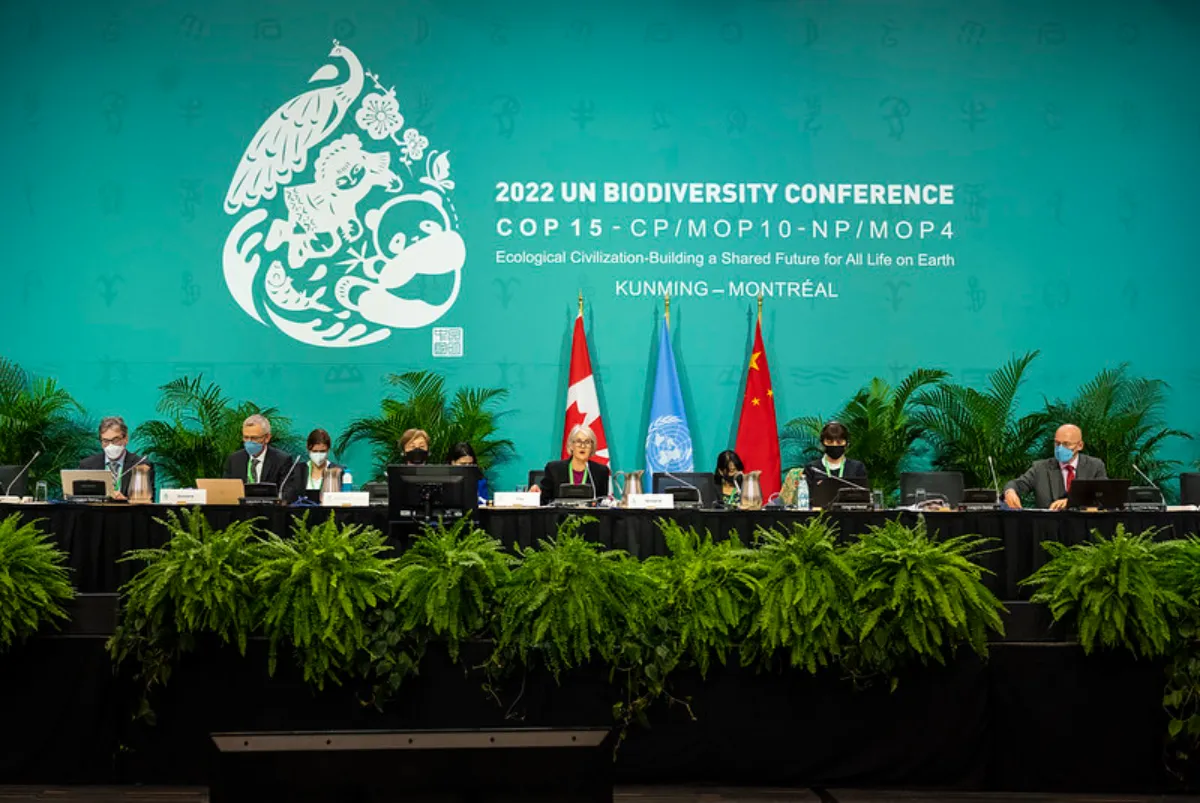 Officials speak during a panel at the COP15 summit on biodiversity declaring top 10 initiatives in Montreal, Canada, UN Biodiversity/Handout via Thomson Reuters Foundation