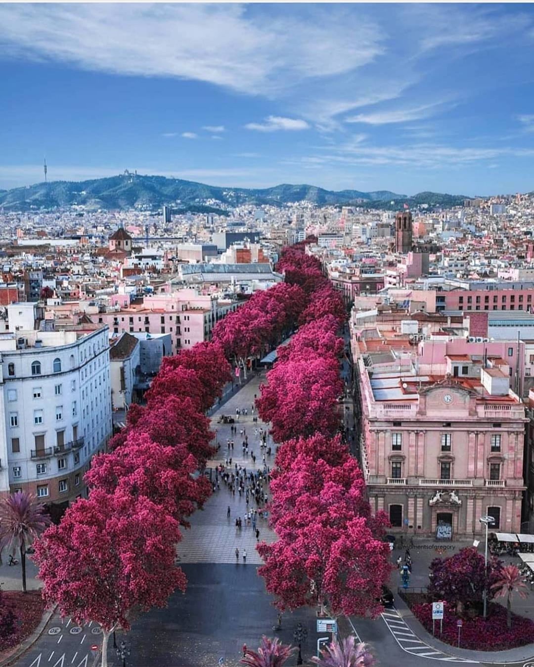 La Rambla