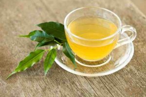 Green tea benefits in Tamil