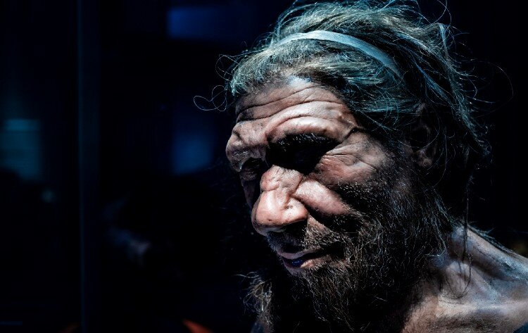 (Image credit: Chettaprin.P/Shutterstock.com) - Restored appearance of a Neanderthal male.  Natural History Museum, London