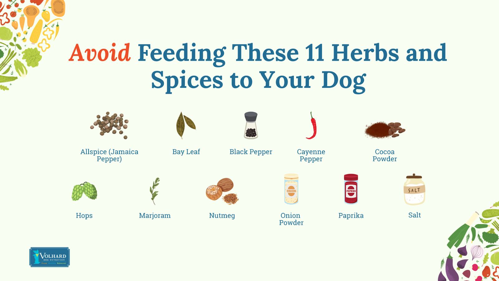 Avoid feeding these 11 herbs and spices to your dog
