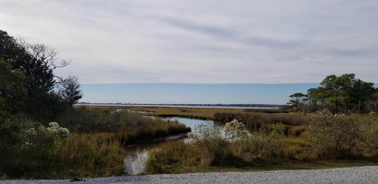 A body of water with plants and trees around it

Description automatically generated with low confidence