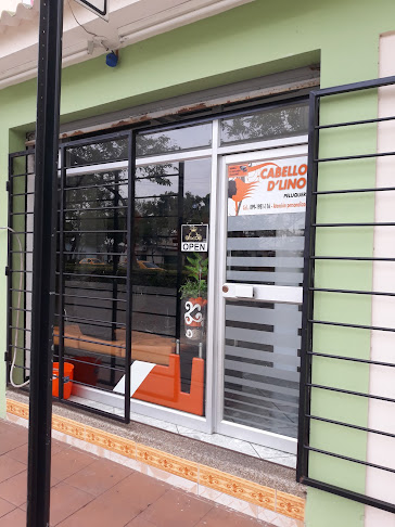 Cabellos D Lino - Guayaquil