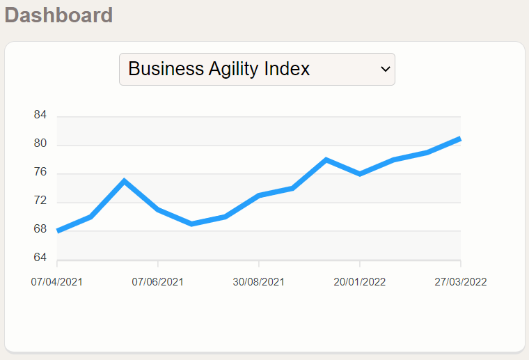 Measure of the Business Agility