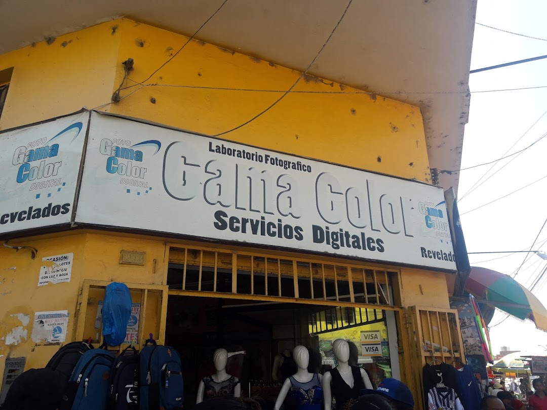 Gama Color