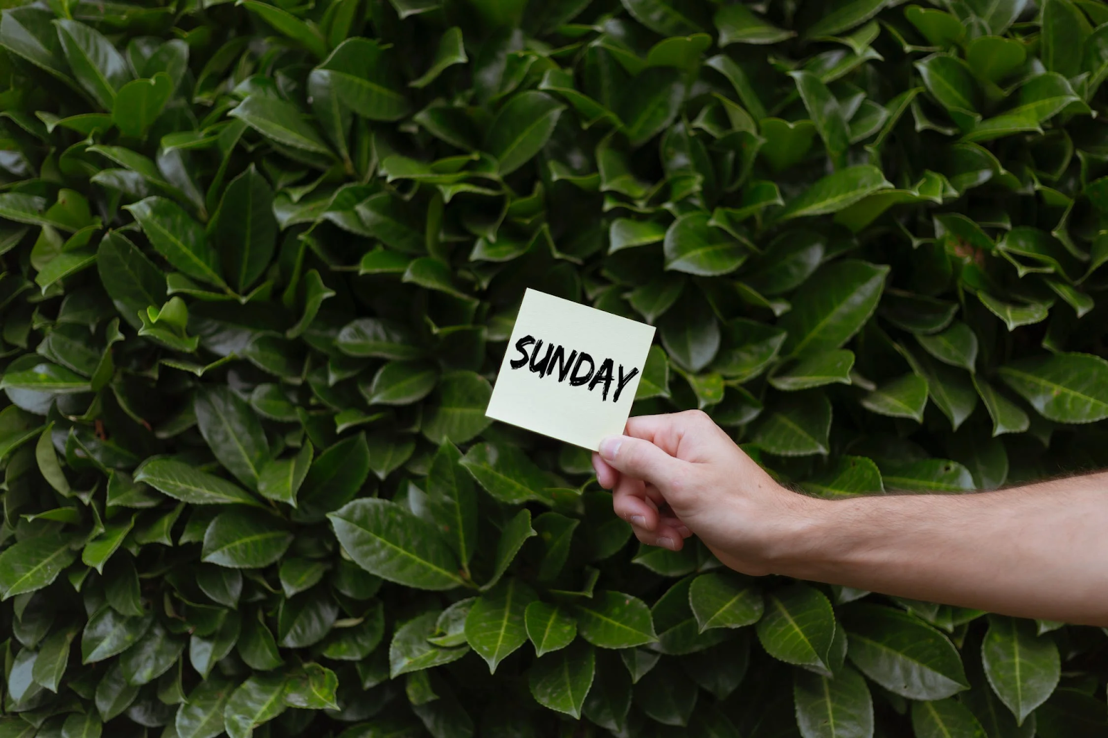 A person holding a post-it note with Sunday written on it