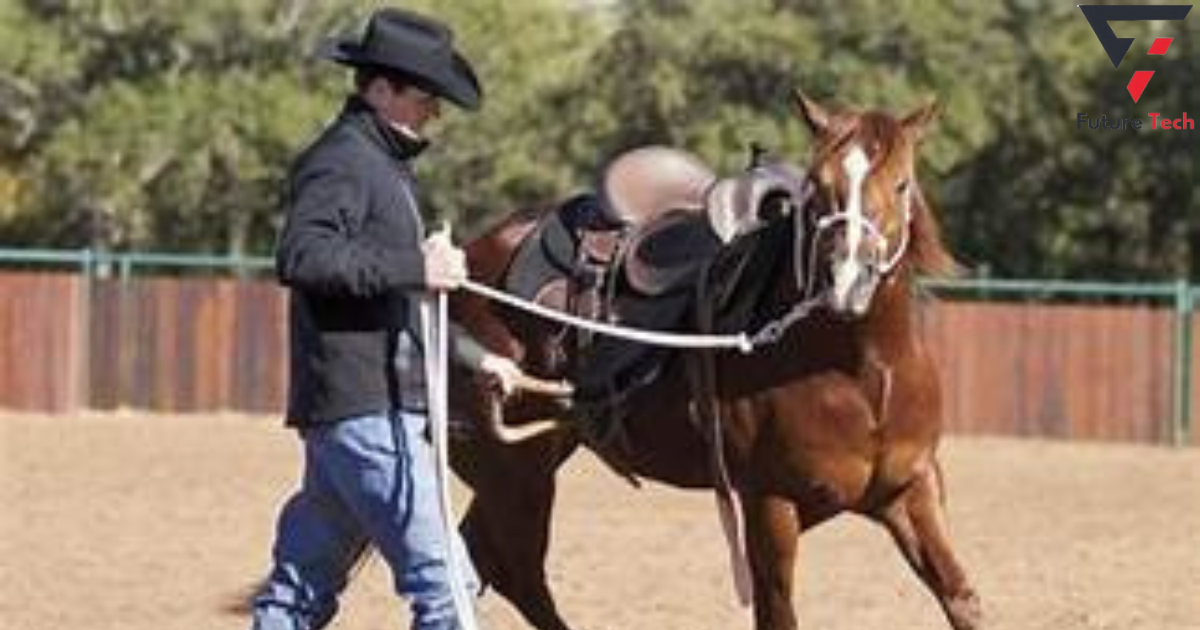 Training a Horse to Take the Reins