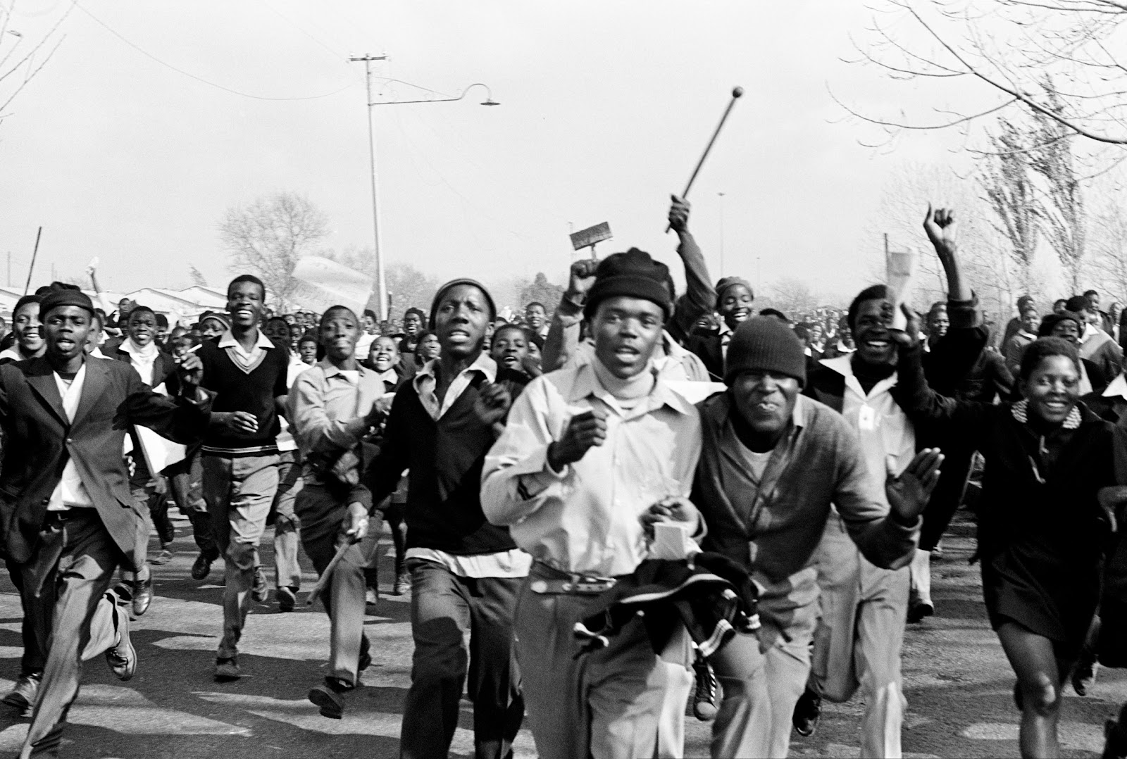 Sowetoyoung-lions.jpg