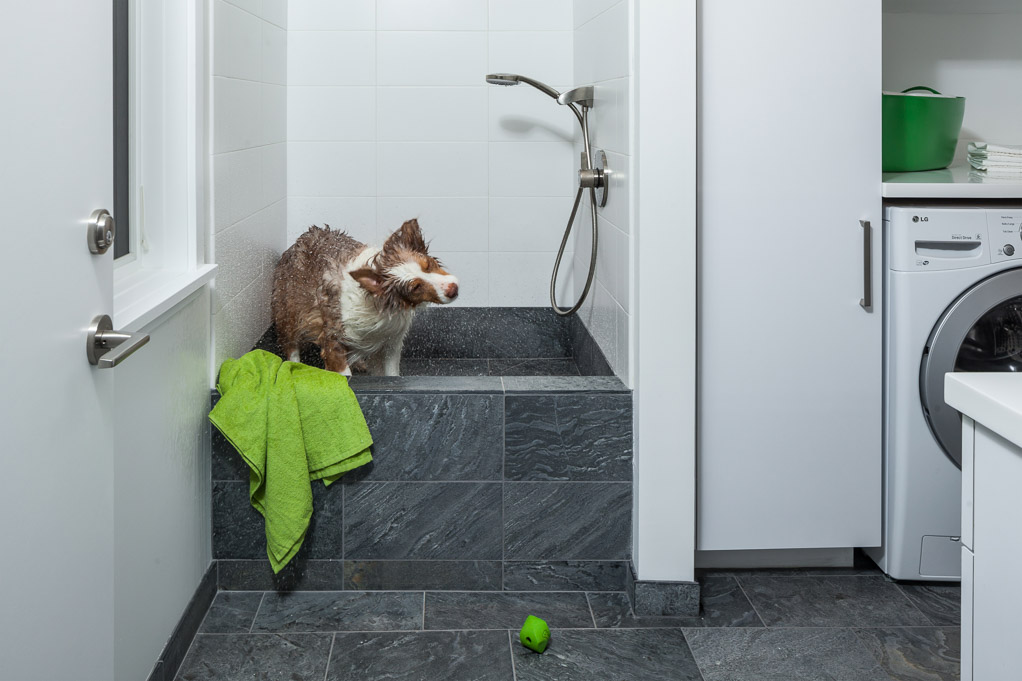 mudroom with bath for dogs