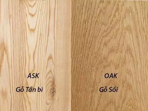 So sánh sự khác biệt giữa hai loại gỗ để thấy được gỗ sồi Nga có tốt không