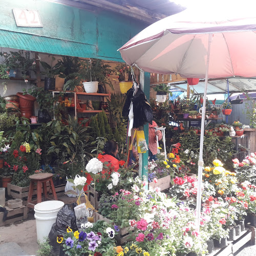 Mercado Nueva Esperanza - Huancayo