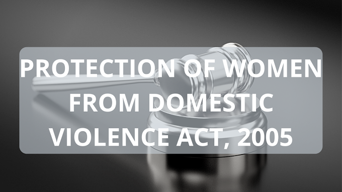  DOMESTIC VIOLENCE ACT, 2005
