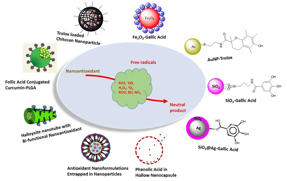 Antioxidants | Free Full-Text | Nanoantioxidants: Recent Trends in  Antioxidant Delivery Applications