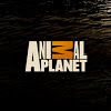 Animal planet channel