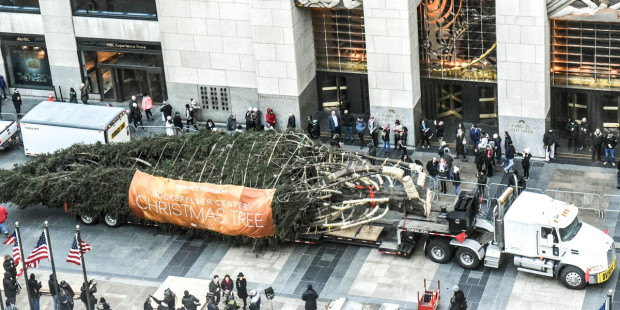 Hân hoan chào đón Giáng sinh, cây thông 2017 của Trung tâm Rockefeller đã có mặt