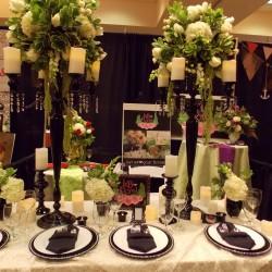 Attend the bridal shows in the Smoky Mountains to plan your destination wedding!