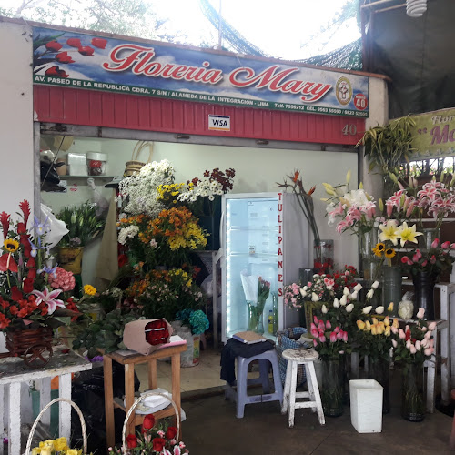 Opiniones de Floreria Mary en Lima - Floristería