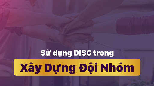 trắc nghiệm disc free
