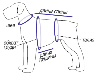 Схемы вязания свитера и комбинезона спицами для собак мелких пород