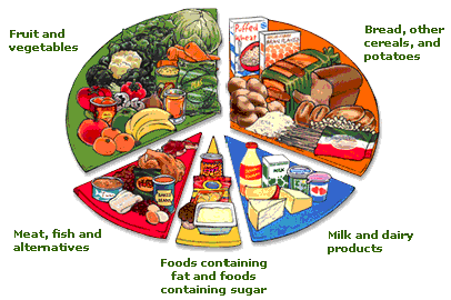 Image result for four major food groups
