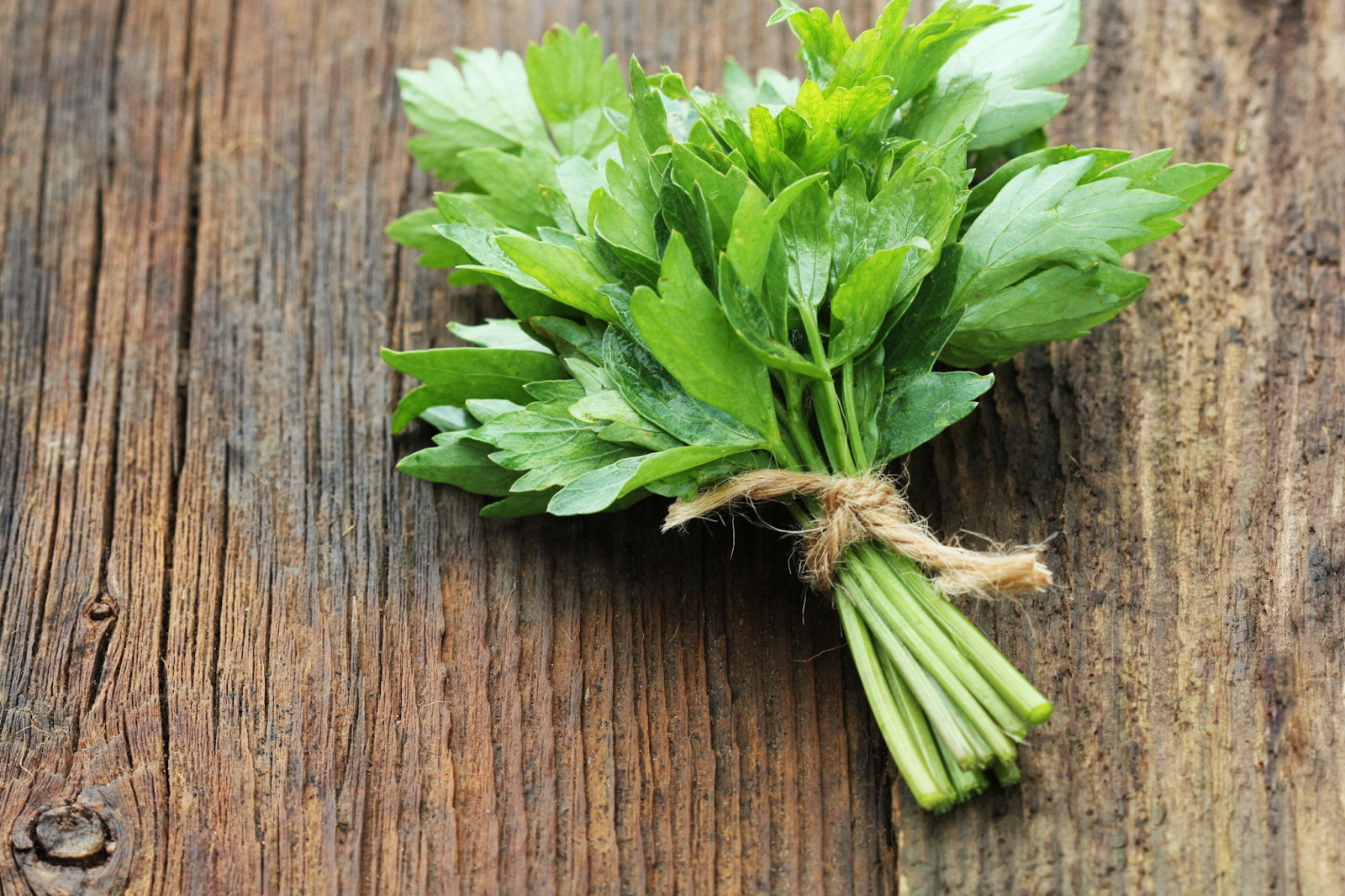 Parsley Substitutes Lovage 