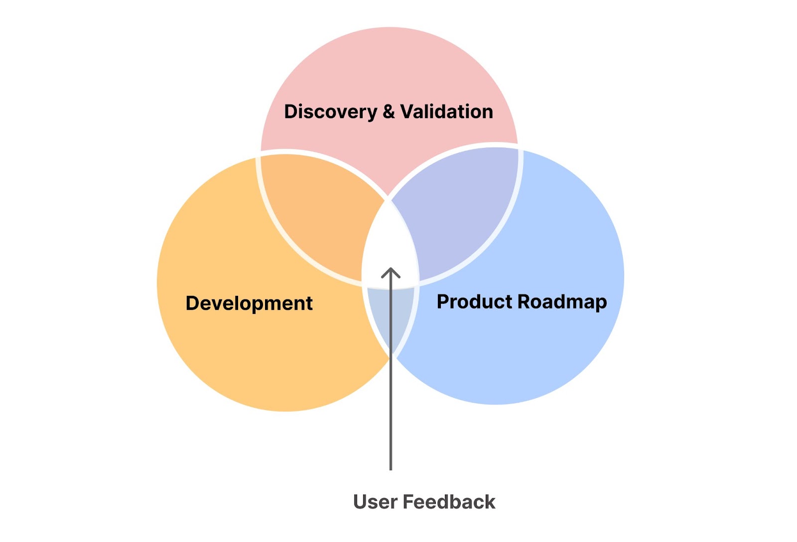 importance-of-user-feedback-in-product-development