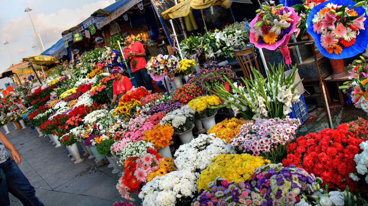 Quang Ba Flower Market