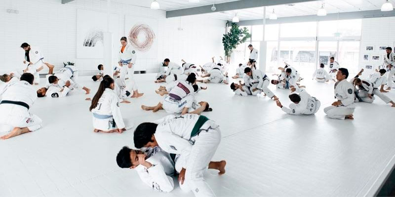 artofjiujitsu foto do post bjjtrainer