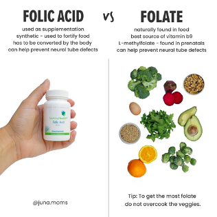 The Significance of Folic Acid during Pregnancy - DishWithDina
