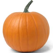 Image result for pumpkin