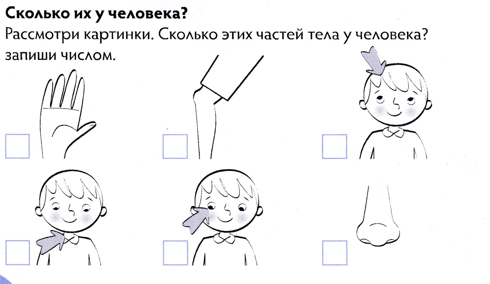 Части тела человека задания