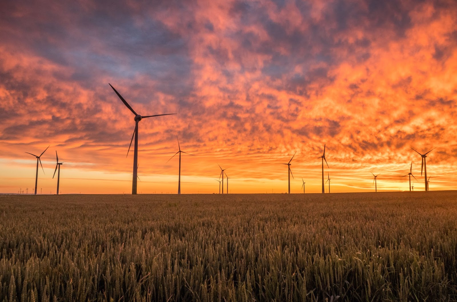 Wind turbine technicians enjoy a stable, well paying job