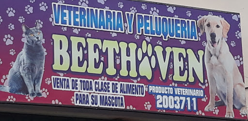 Beethoven - Guayaquil