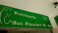 Veterinaria San Francisco de Asís, Veterinario